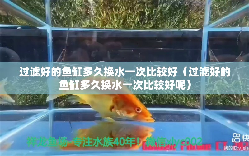 过滤好的鱼缸多久换水一次比较好（过滤好的鱼缸多久换水一次比较好呢）