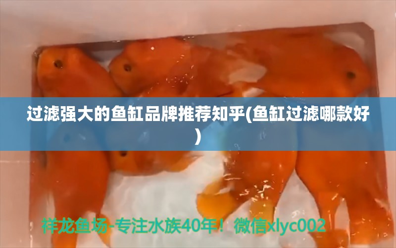 过滤强大的鱼缸品牌推荐知乎(鱼缸过滤哪款好)