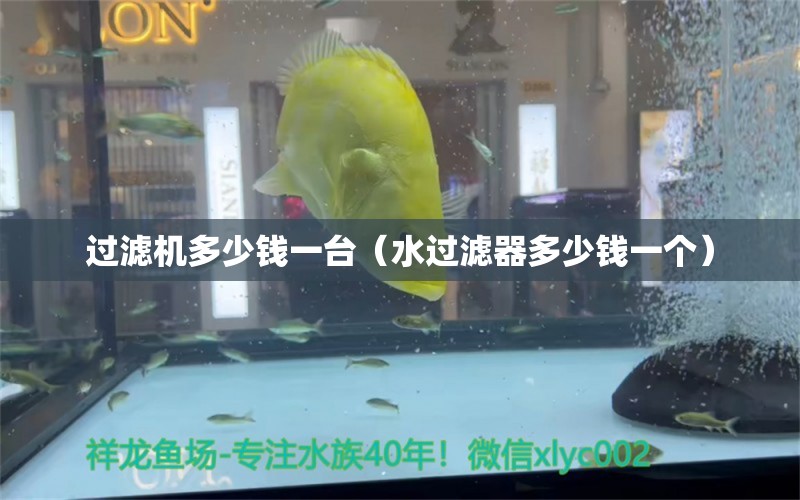 过滤机多少钱一台（水过滤器多少钱一个） 黄金眼镜蛇雷龙鱼 第1张