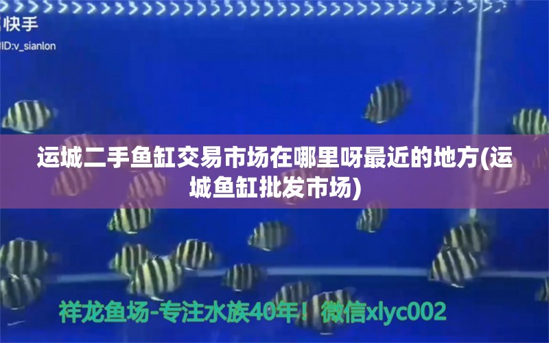 运城二手鱼缸交易市场在哪里呀最近的地方(运城鱼缸批发市场)