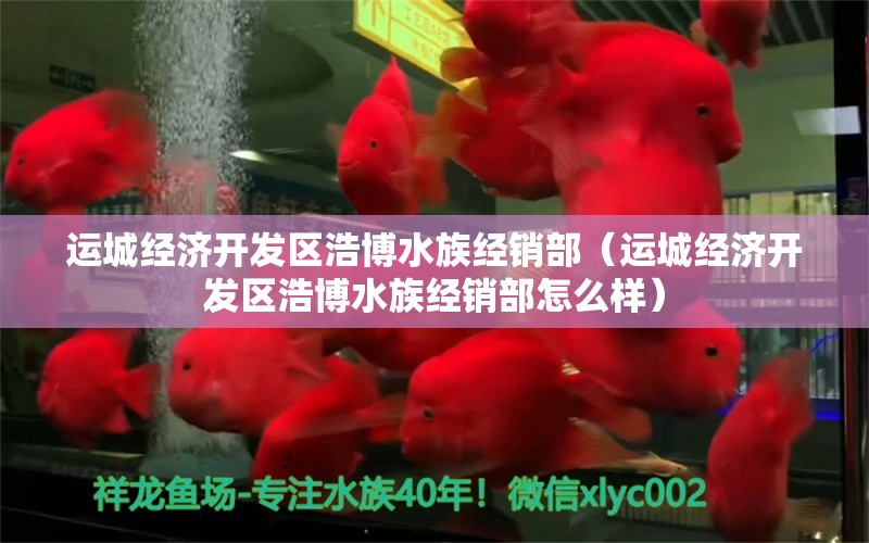 运城经济开发区浩博水族经销部（运城经济开发区浩博水族经销部怎么样） 全国水族馆企业名录