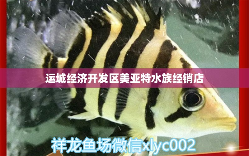 运城经济开发区美亚特水族经销店 全国水族馆企业名录