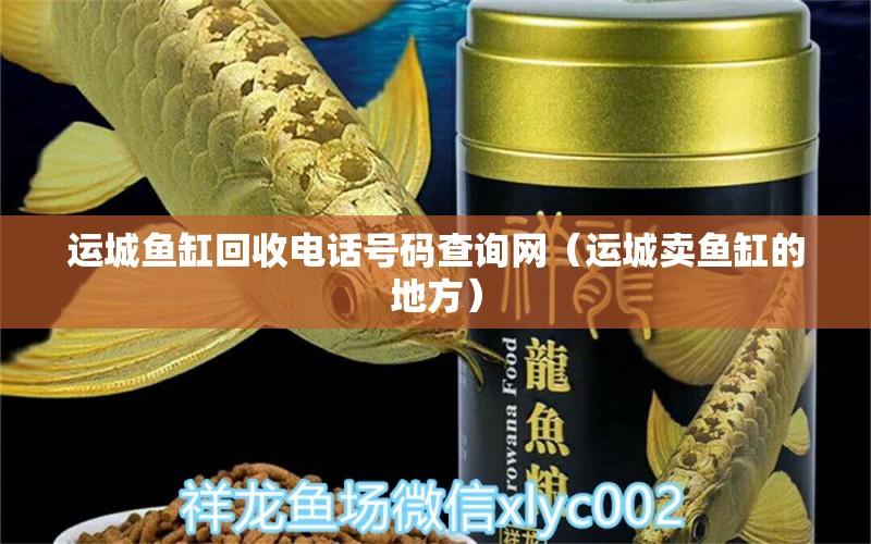 运城鱼缸回收电话号码查询网（运城卖鱼缸的地方） 鱼缸等水族设备