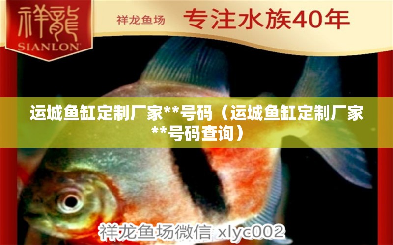 运城鱼缸定制厂家**号码（运城鱼缸定制厂家**号码查询） 祥龙水族医院