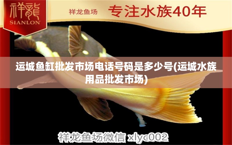 运城鱼缸批发市场电话号码是多少号(运城水族用品批发市场)