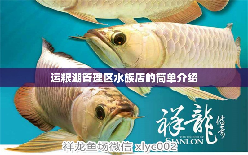 运粮湖管理区水族店的简单介绍 水族品牌 第1张