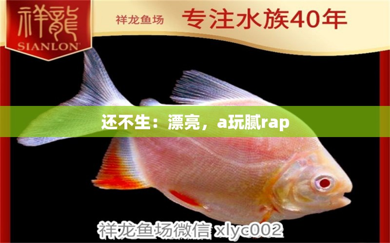 还不生：漂亮，a玩腻rap 观赏鱼论坛 第2张