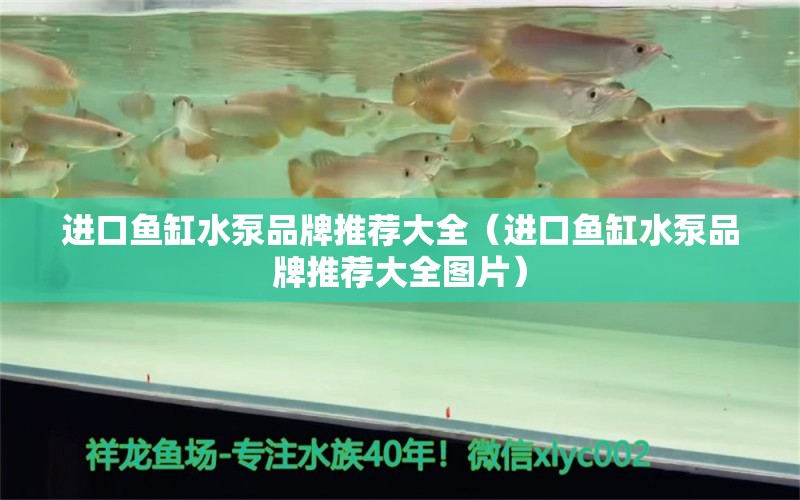 进口鱼缸水泵品牌推荐大全（进口鱼缸水泵品牌推荐大全图片）