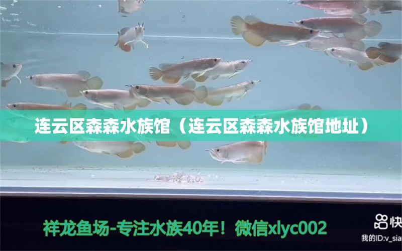 连云区森森水族馆（连云区森森水族馆地址）