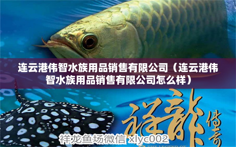 连云港伟智水族用品销售有限公司（连云港伟智水族用品销售有限公司怎么样） 水族用品