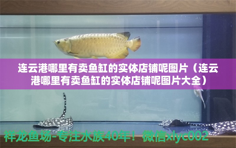 连云港哪里有卖鱼缸的实体店铺呢图片（连云港哪里有卖鱼缸的实体店铺呢图片大全） 祥龙水族医院