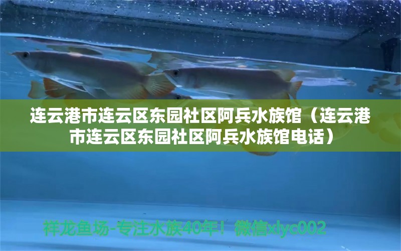 连云港市连云区东园社区阿兵水族馆（连云港市连云区东园社区阿兵水族馆电话） 全国水族馆企业名录