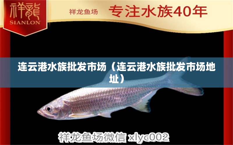 连云港水族批发市场（连云港水族批发市场地址）