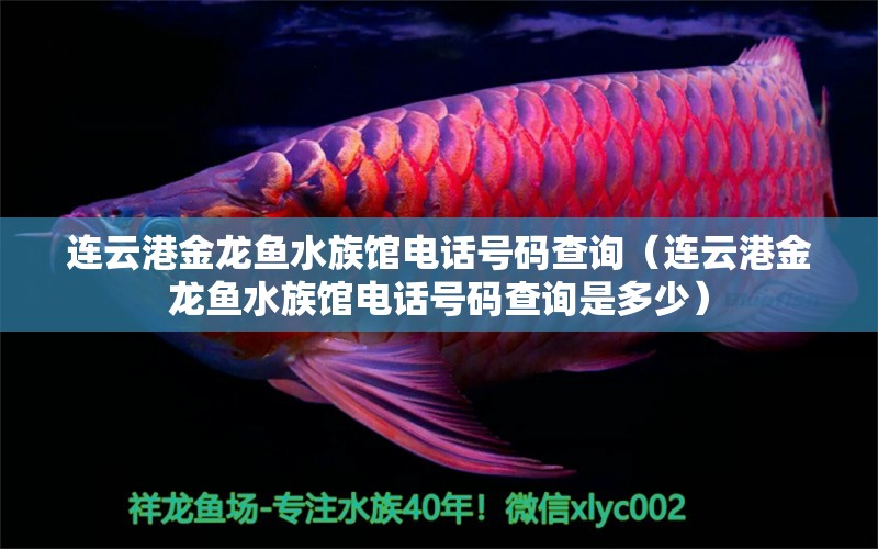 连云港金龙鱼水族馆电话号码查询（连云港金龙鱼水族馆电话号码查询是多少）