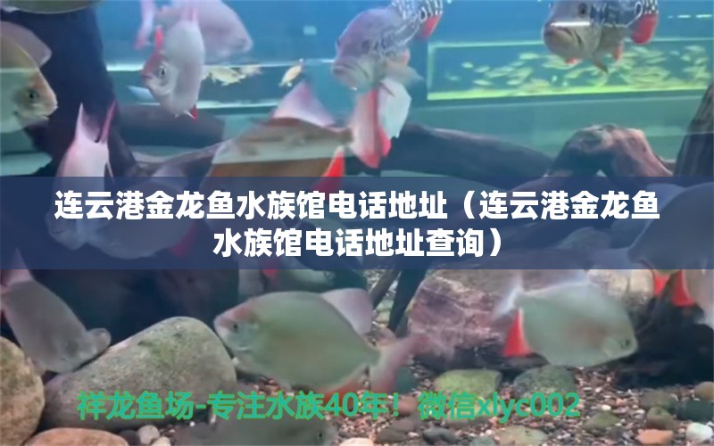 连云港金龙鱼水族馆电话地址（连云港金龙鱼水族馆电话地址查询）