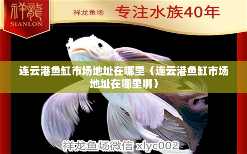 连云港鱼缸市场地址在哪里（连云港鱼缸市场地址在哪里啊） 祥龙水族医院