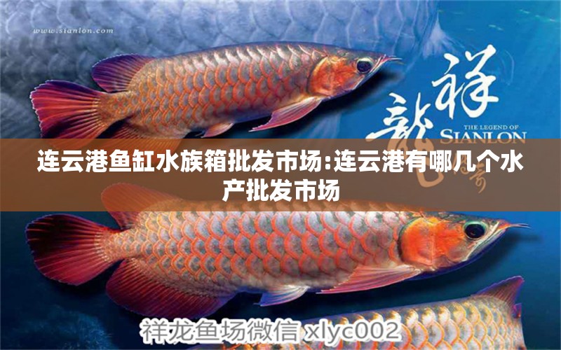 连云港鱼缸水族箱批发市场:连云港有哪几个水产批发市场