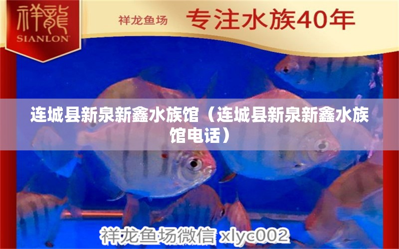 连城县新泉新鑫水族馆（连城县新泉新鑫水族馆电话）