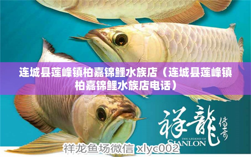 连城县莲峰镇柏嘉锦鲤水族店（连城县莲峰镇柏嘉锦鲤水族店电话）