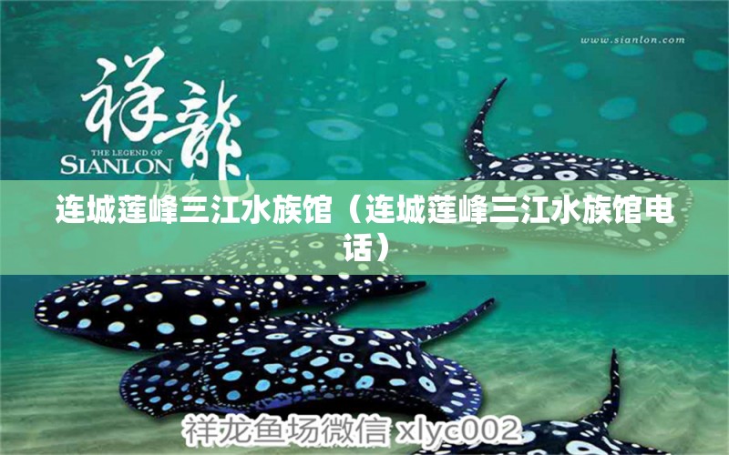 连城莲峰三江水族馆（连城莲峰三江水族馆电话）