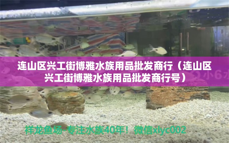 连山区兴工街博雅水族用品批发商行（连山区兴工街博雅水族用品批发商行号）