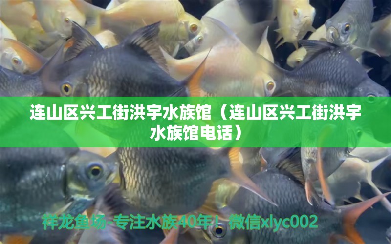 连山区兴工街洪宇水族馆（连山区兴工街洪宇水族馆电话）