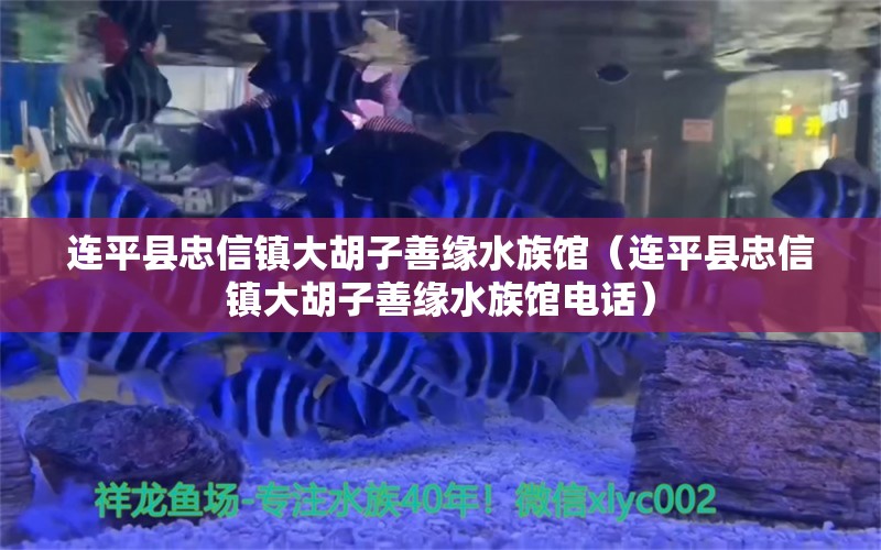 连平县忠信镇大胡子善缘水族馆（连平县忠信镇大胡子善缘水族馆电话）