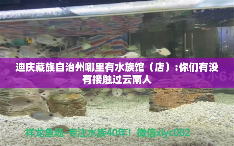 迪庆藏族自治州哪里有水族馆（店）:你们有没有接触过云南人