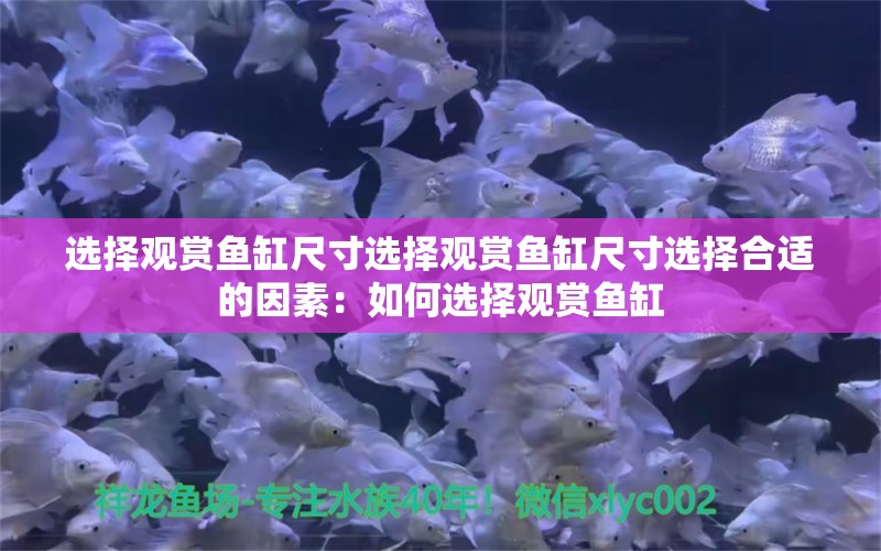 选择观赏鱼缸尺寸选择观赏鱼缸尺寸选择合适的因素：如何选择观赏鱼缸