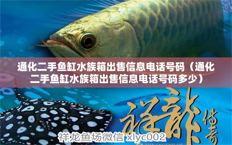 通化二手鱼缸水族箱出售信息电话号码（通化二手鱼缸水族箱出售信息电话号码多少）