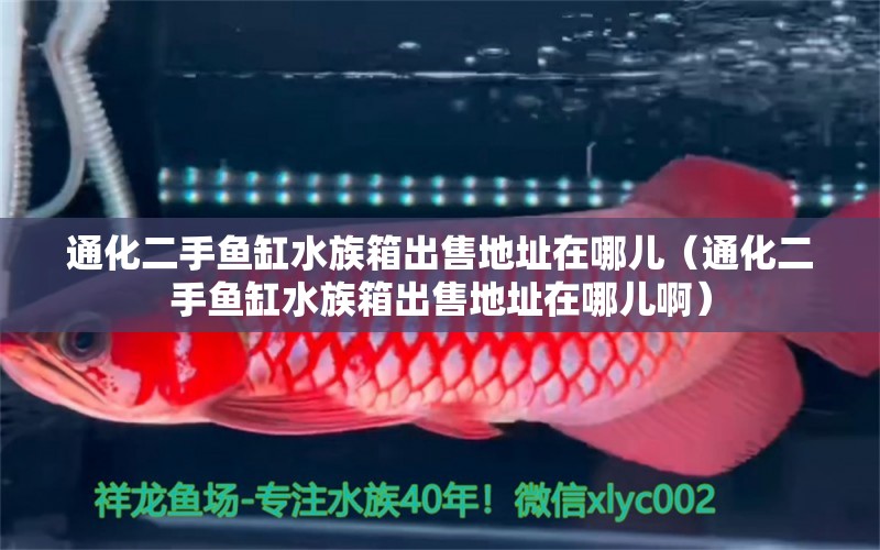 通化二手鱼缸水族箱出售地址在哪儿（通化二手鱼缸水族箱出售地址在哪儿啊） 鱼缸/水族箱