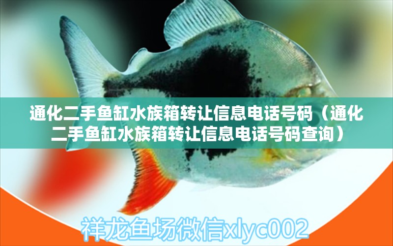 通化二手鱼缸水族箱转让信息电话号码（通化二手鱼缸水族箱转让信息电话号码查询） 鱼缸/水族箱