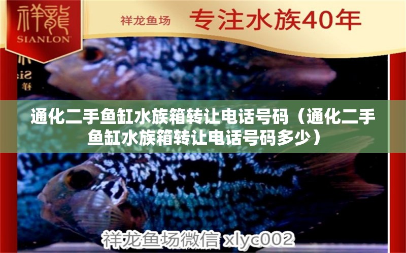 通化二手鱼缸水族箱转让电话号码（通化二手鱼缸水族箱转让电话号码多少）