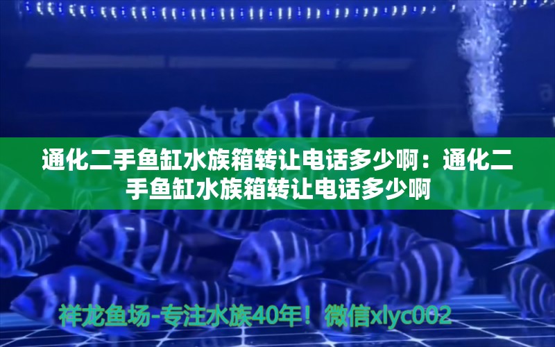 通化二手鱼缸水族箱转让电话多少啊：通化二手鱼缸水族箱转让电话多少啊 鱼缸/水族箱