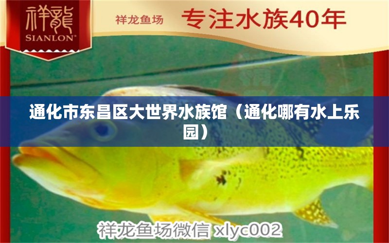 通化市东昌区大世界水族馆（通化哪有水上乐园）