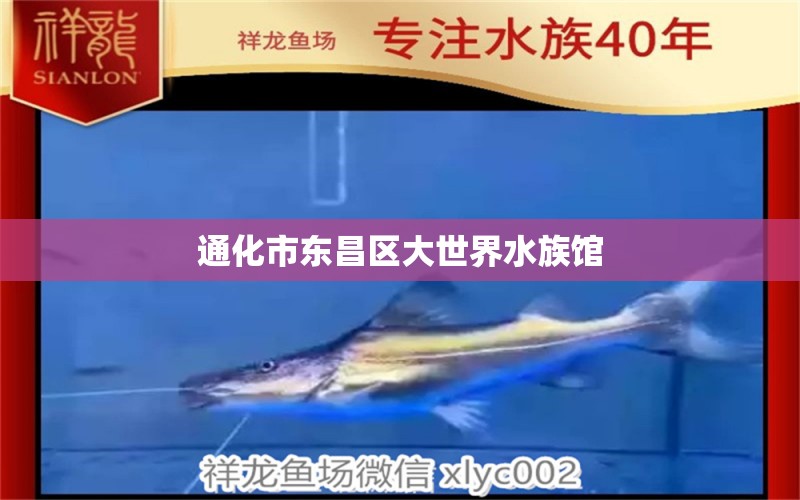 通化市东昌区大世界水族馆