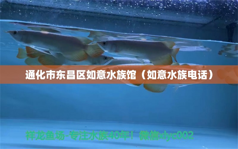 通化市东昌区如意水族馆（如意水族电话）