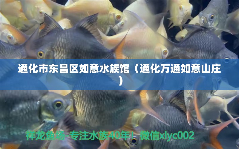 通化市东昌区如意水族馆（通化万通如意山庄）