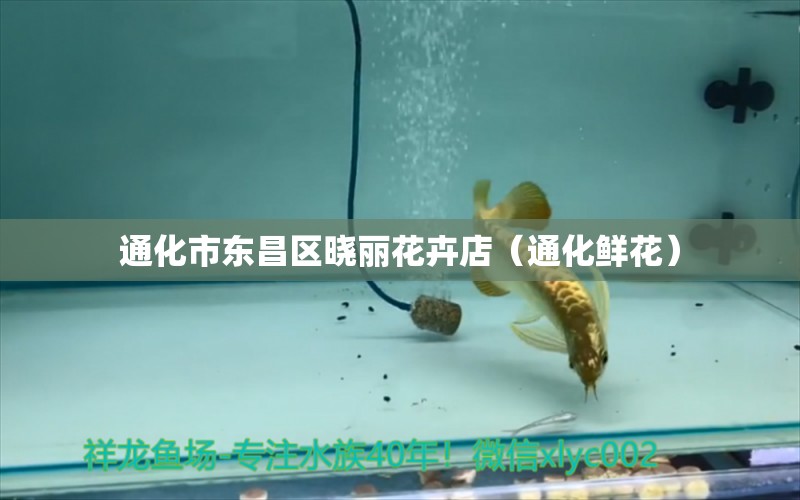 通化市东昌区晓丽花卉店（通化鲜花） 全国水族馆企业名录