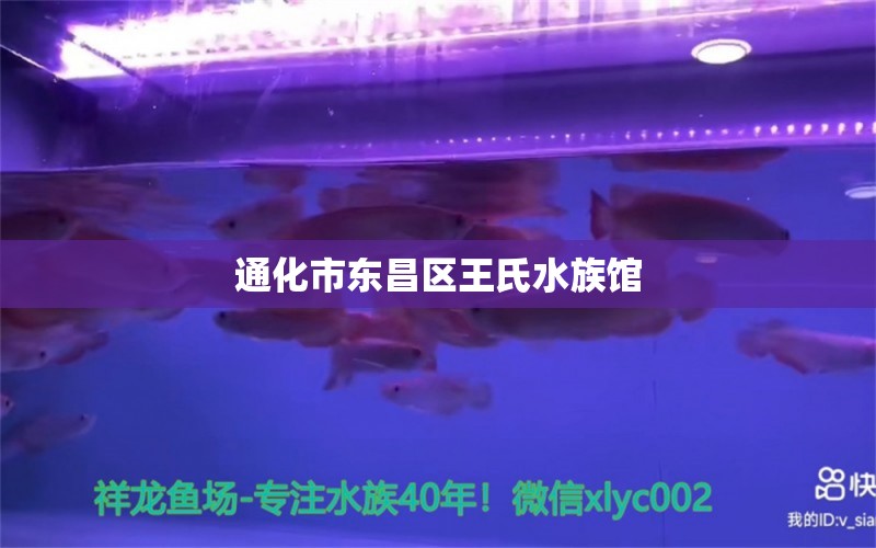 通化市东昌区王氏水族馆