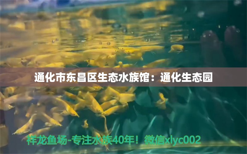 通化市东昌区生态水族馆：通化生态园