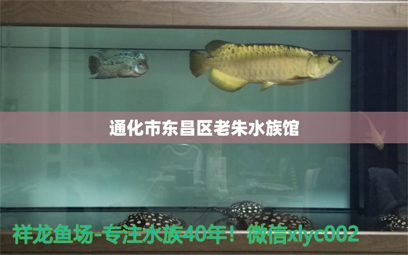 通化市东昌区老朱水族馆