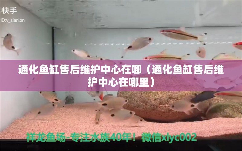 通化鱼缸售后维护中心在哪（通化鱼缸售后维护中心在哪里）