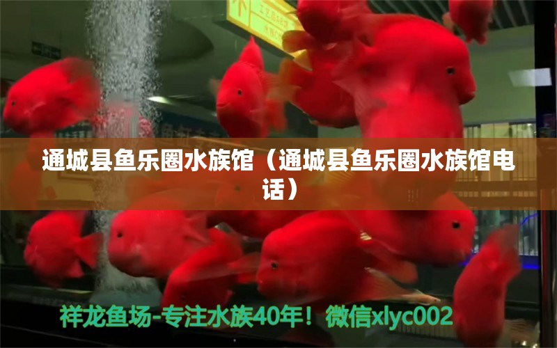 通城县鱼乐圈水族馆（通城县鱼乐圈水族馆电话） 全国水族馆企业名录