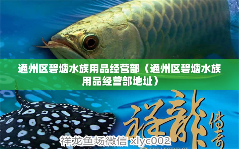 通州区碧塘水族用品经营部（通州区碧塘水族用品经营部地址）