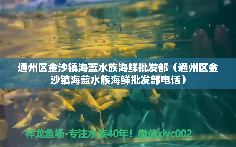 通州区金沙镇海蓝水族海鲜批发部（通州区金沙镇海蓝水族海鲜批发部电话）