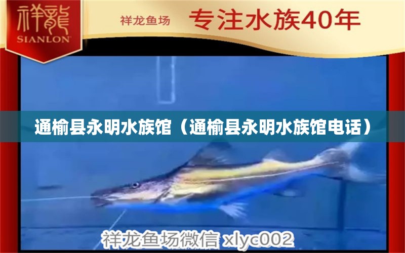 通榆县永明水族馆（通榆县永明水族馆电话） 全国水族馆企业名录