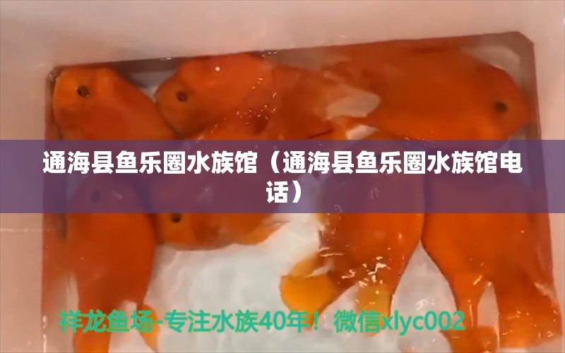 通海县鱼乐圈水族馆（通海县鱼乐圈水族馆电话） 全国水族馆企业名录