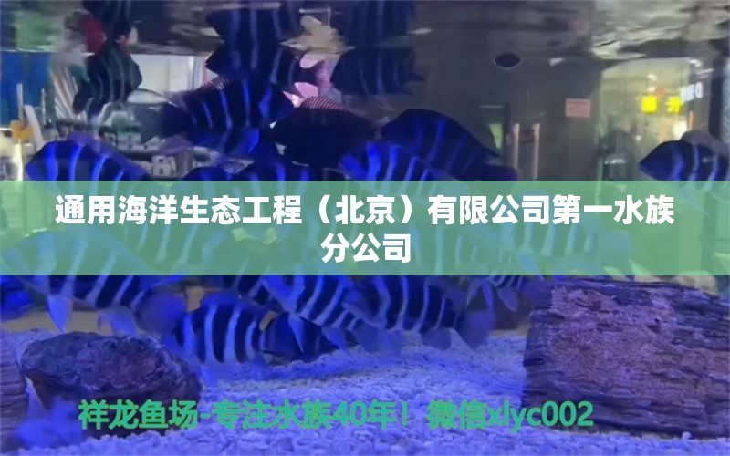 通用海洋生态工程（北京）有限公司第一水族分公司