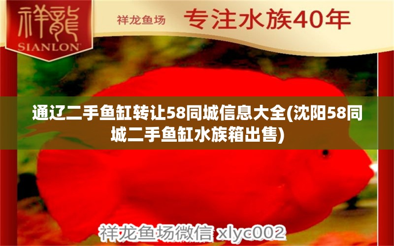 通辽二手鱼缸转让58同城信息大全(沈阳58同城二手鱼缸水族箱出售) 鱼缸/水族箱